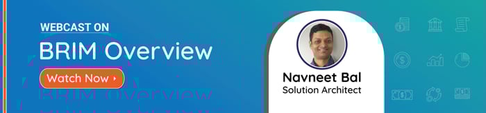 BRIM-Overview-NavneetBal