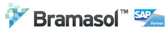 Bramasol SAP PArtner Logo