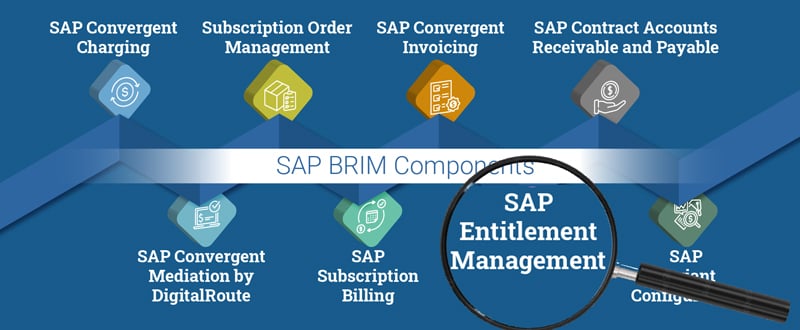 EntitlementManagement-focus