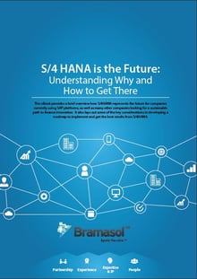 S4HANA is the Future