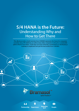 S4HANA-is-the-Future-Understanding_420