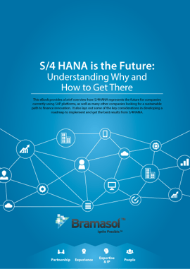 S4HANA-is-the-Future-Understanding_420