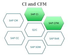 SAP-CI-CFM