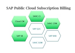 SAP-PublicCloud-SubcriptionBIlling-v2.0