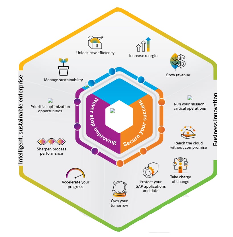 Overview Comparison Of RISE With SAP And SAP GROW