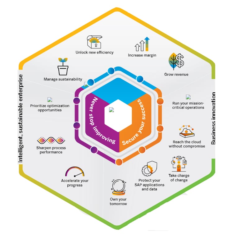 Overview Comparison of RISE with SAP and SAP GROW