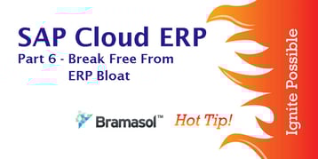 SAPCloudERP_hot-tip-graphic-Reason6