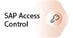 advantages_sap-access-control