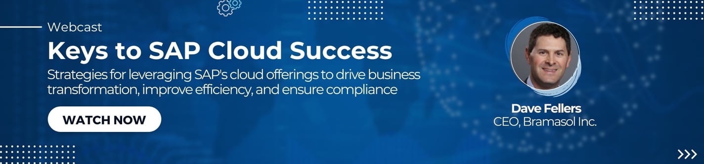 webcast-Dave-SAP-Cloud-Success-2