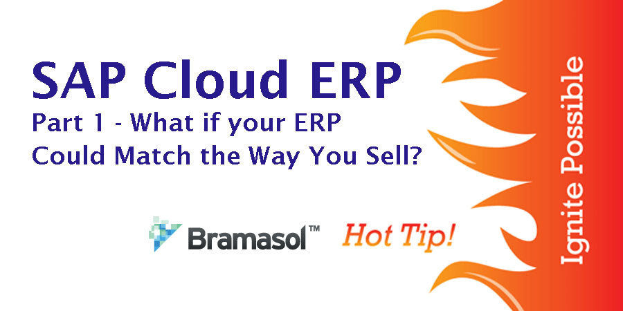 SAP Cloud ERP