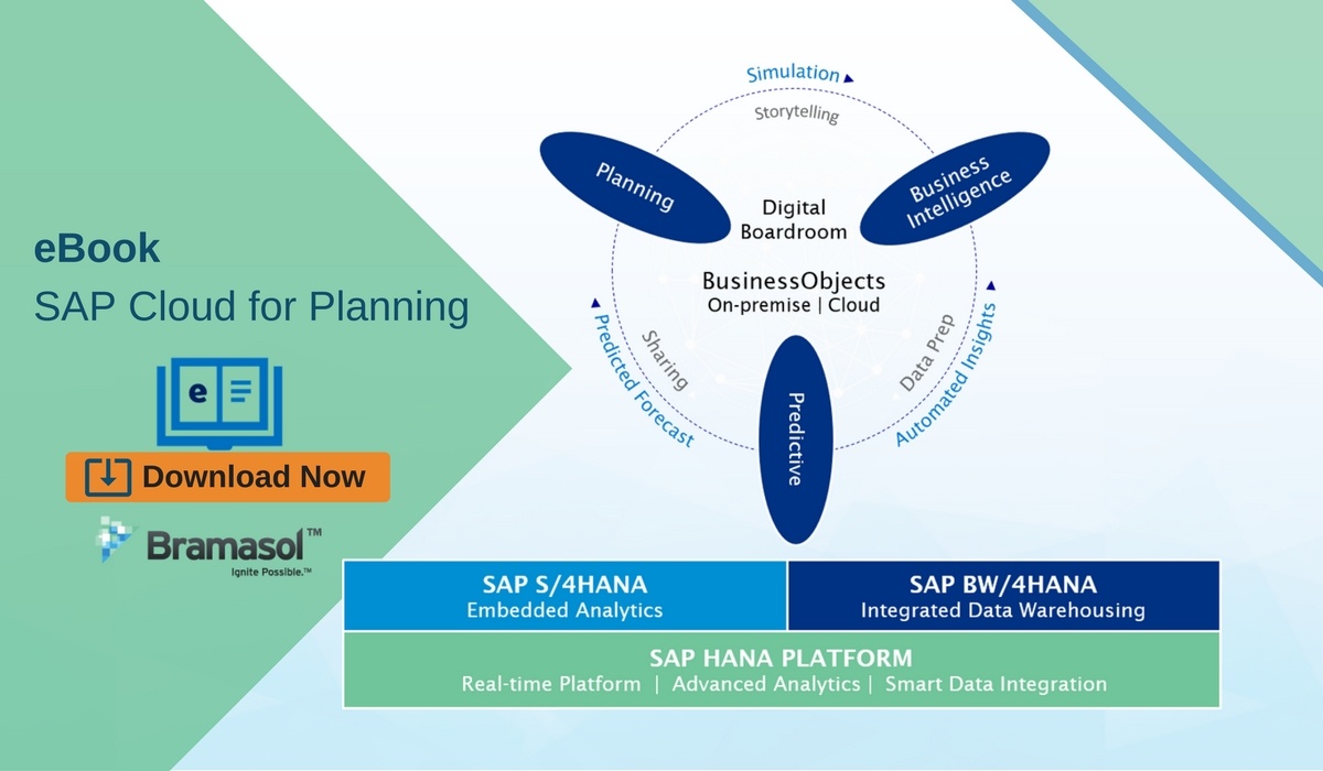 eBook SAP Cloud for Planning.jpg